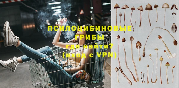 таблы Алзамай