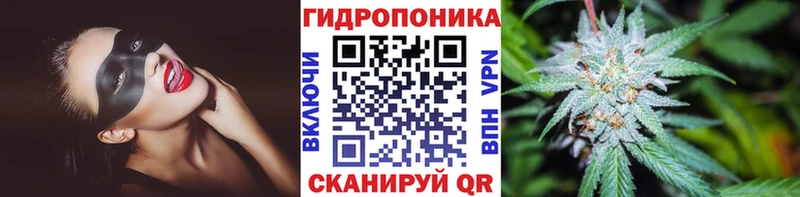 МАРИХУАНА Amnesia  Любим 